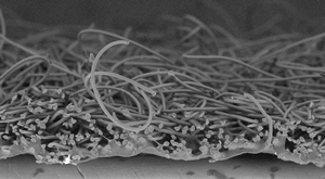 Dirt Trap material magnified