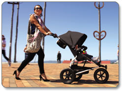 mountain buggy urban jungle stroller