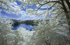 David Buschs Digital Photography Bucket List - 100 Great Digital Photos You Must T...