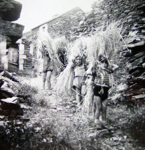 In This Hospitable Land 9781935597469 Brock Jr., Lynmar