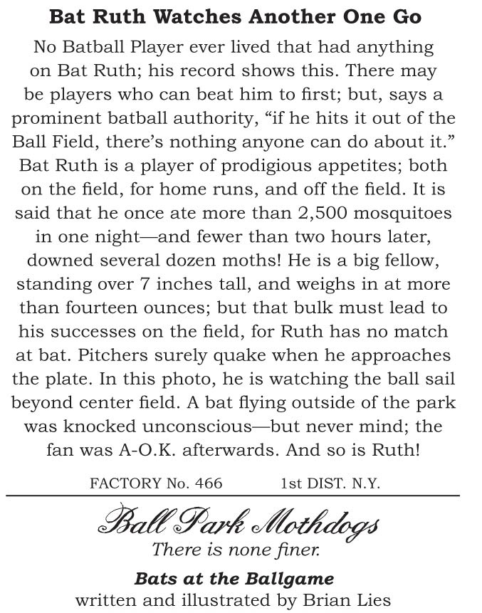 Bats at the Ballgame (A Bat Book) Lies, Brian 9780547249704 Amazon