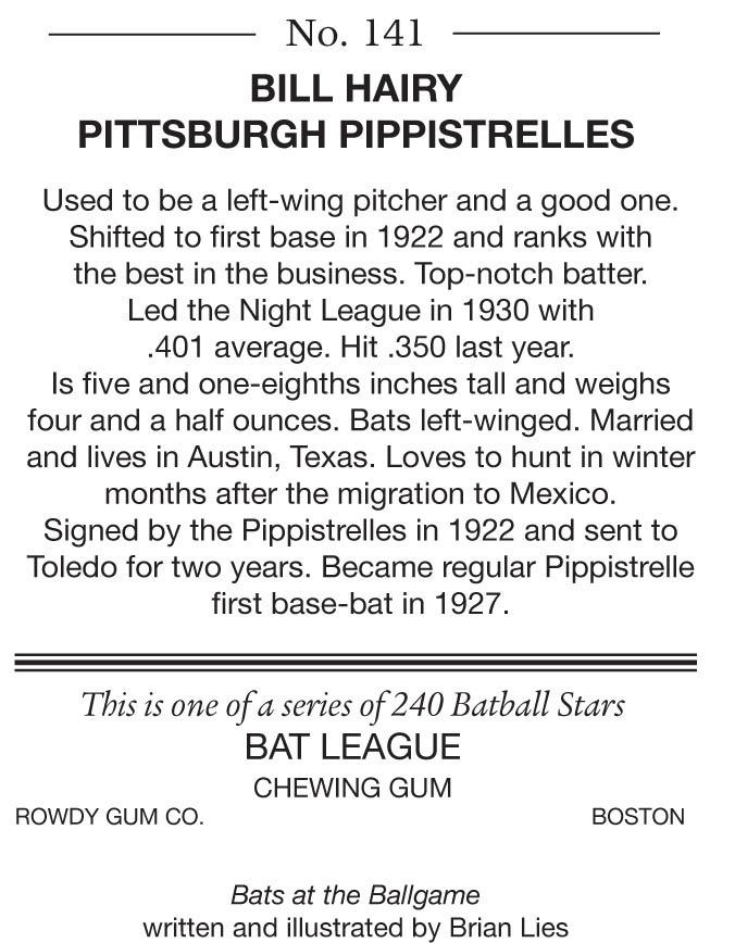 Bats at the Ballgame (A Bat Book) Brian Lies 9780547249704 Amazon