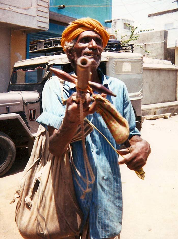 Dreaming in Hindi Katherine Russell Rich 9780618155453 Books