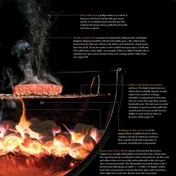 Modernist Cuisine The Art And Science Of Cooking Nathan Myhrvold Chris Young Maxime Bilet 9780982761007 Books Amazon Ca