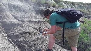 pterosaur
