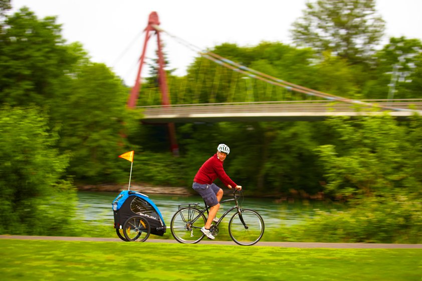 Burley Encore 2013 Bike Trailer Amazon.ca Sports & Outdoors