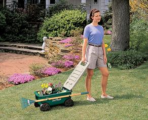 Amazon.com : The AMES Companies, Inc Cart Lawn Buddy Poly - Part