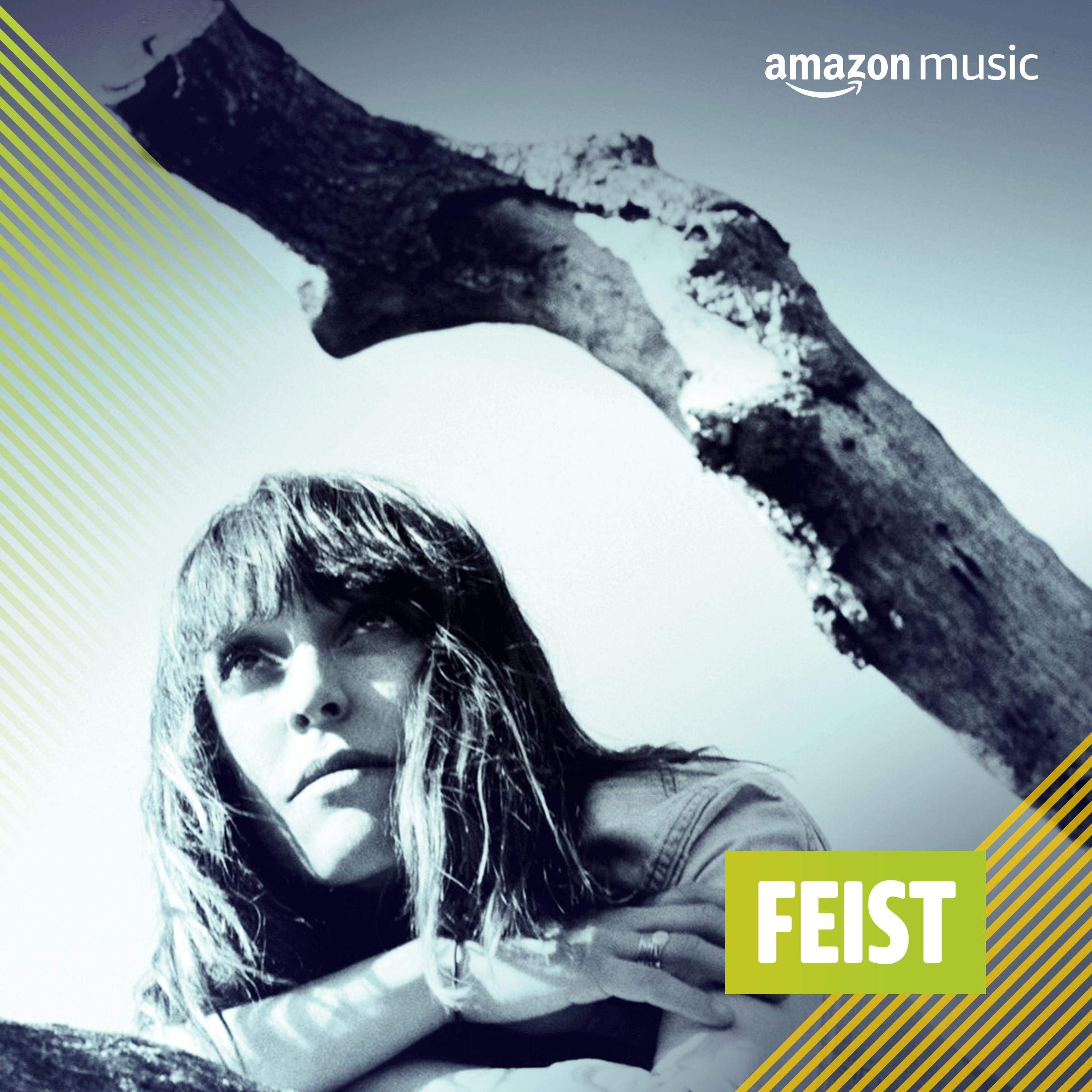 Feist