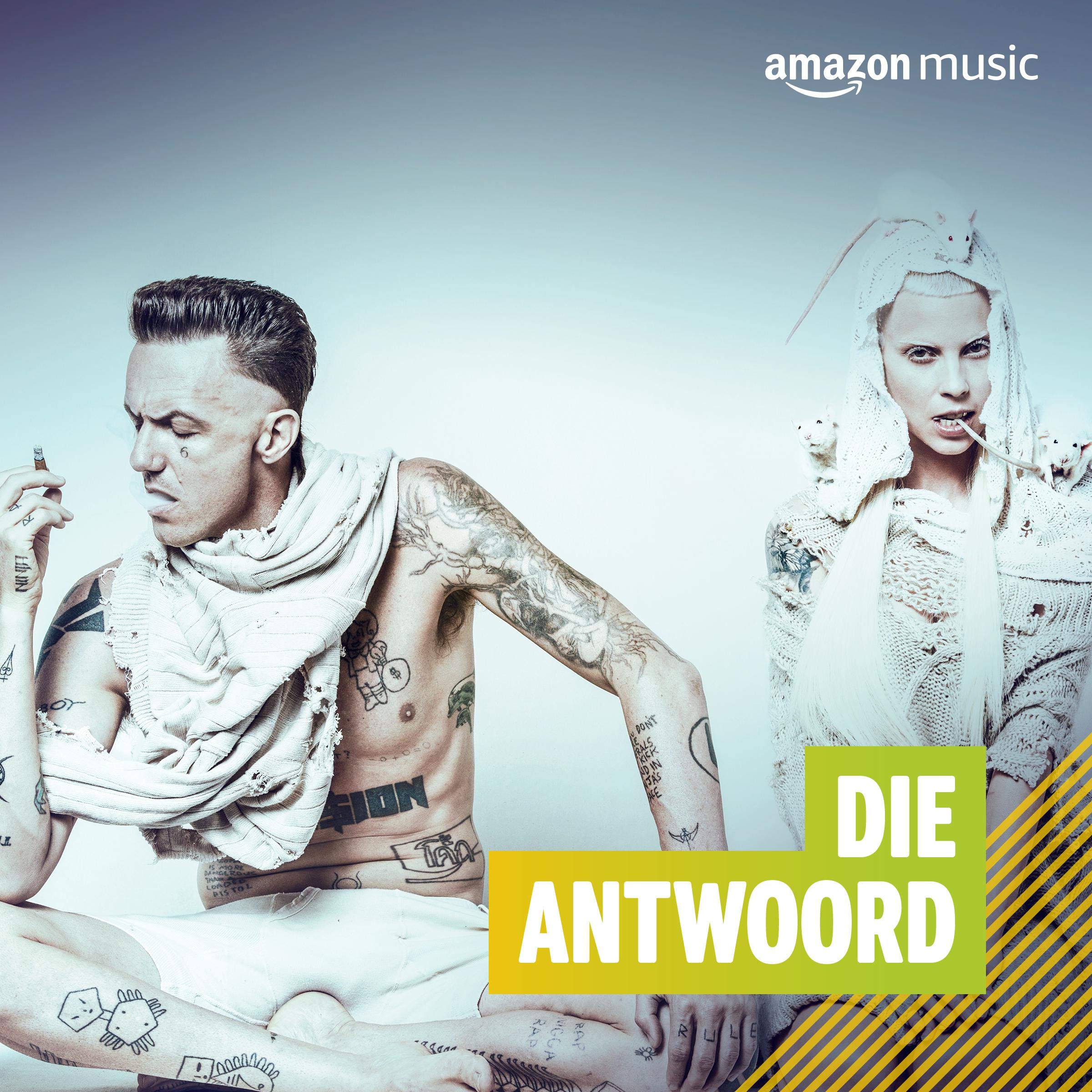 DIE ANTWOORD