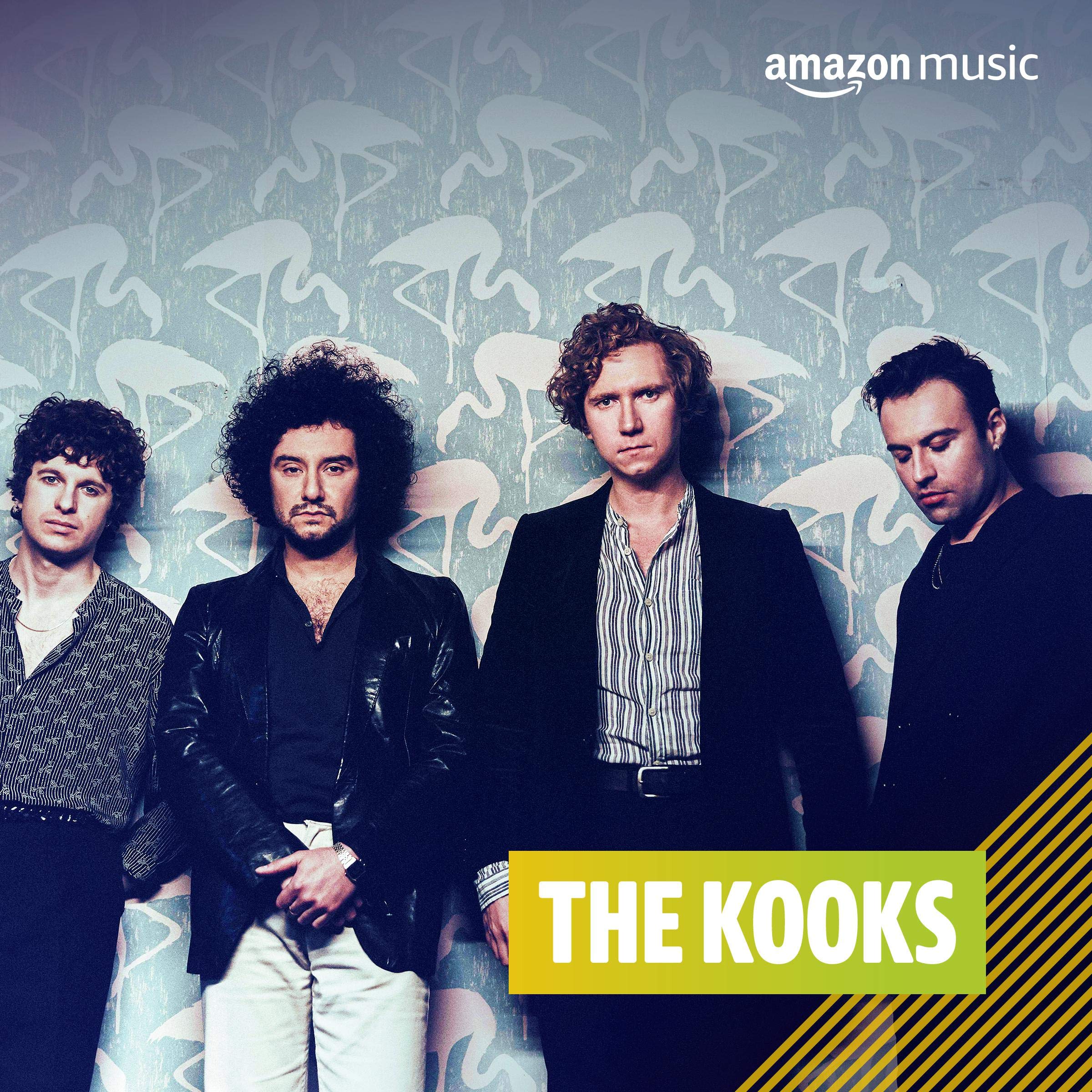 The Kooks