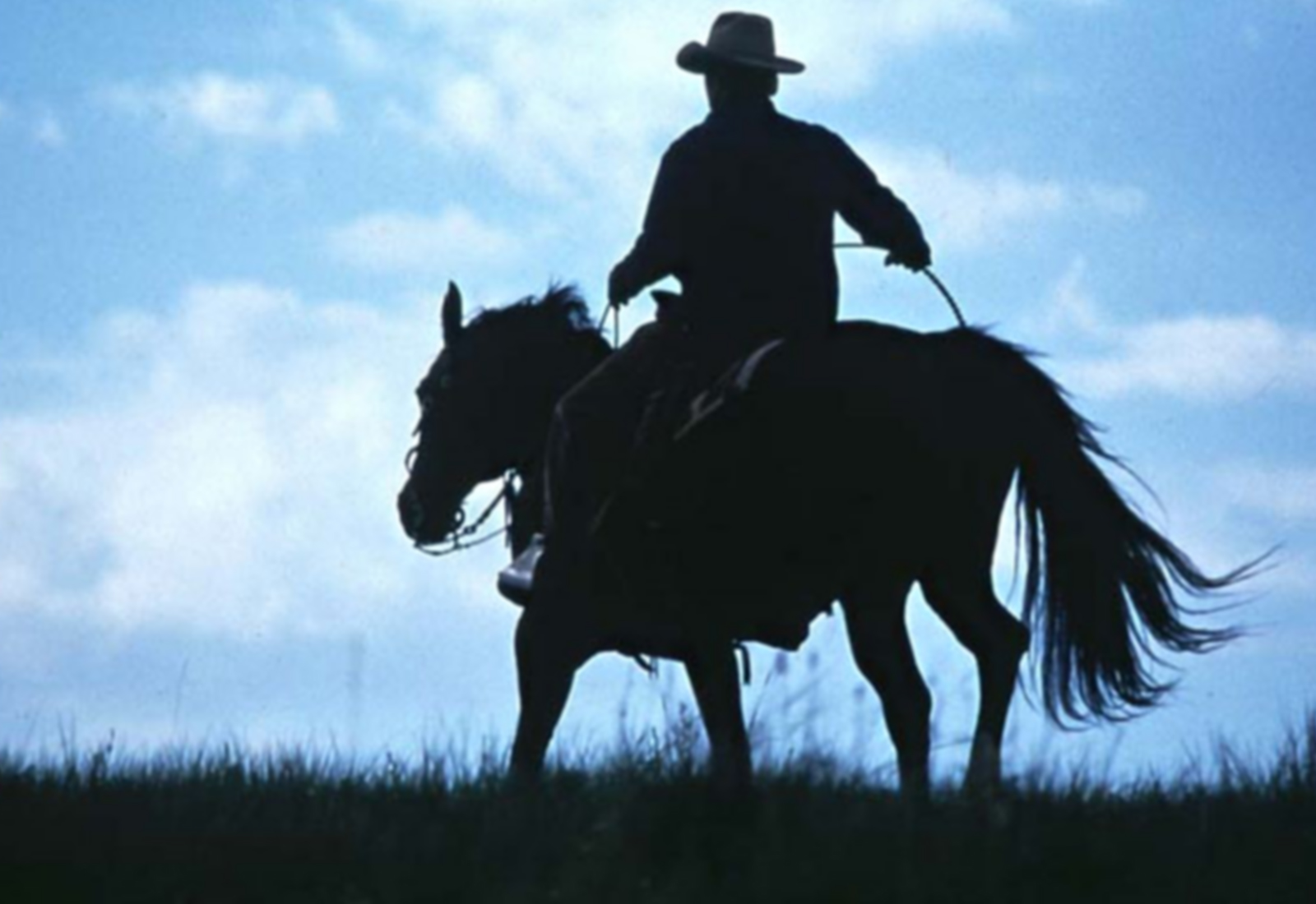 Watch The Horse Whisperer Prime Video