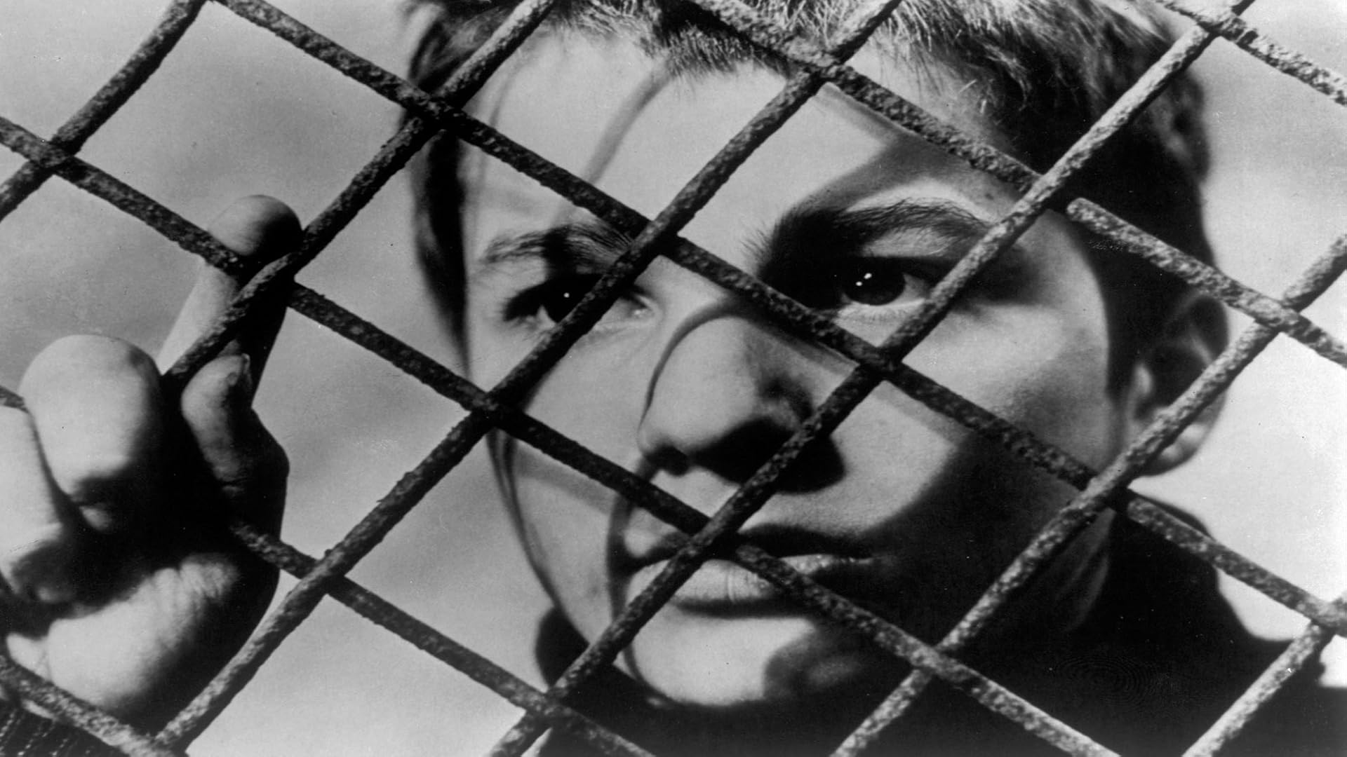 Amazon Com Watch Ivan S Childhood English Subtitled Prime Video