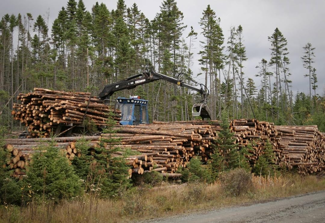 Watch American Loggers Season 1 Prime Video