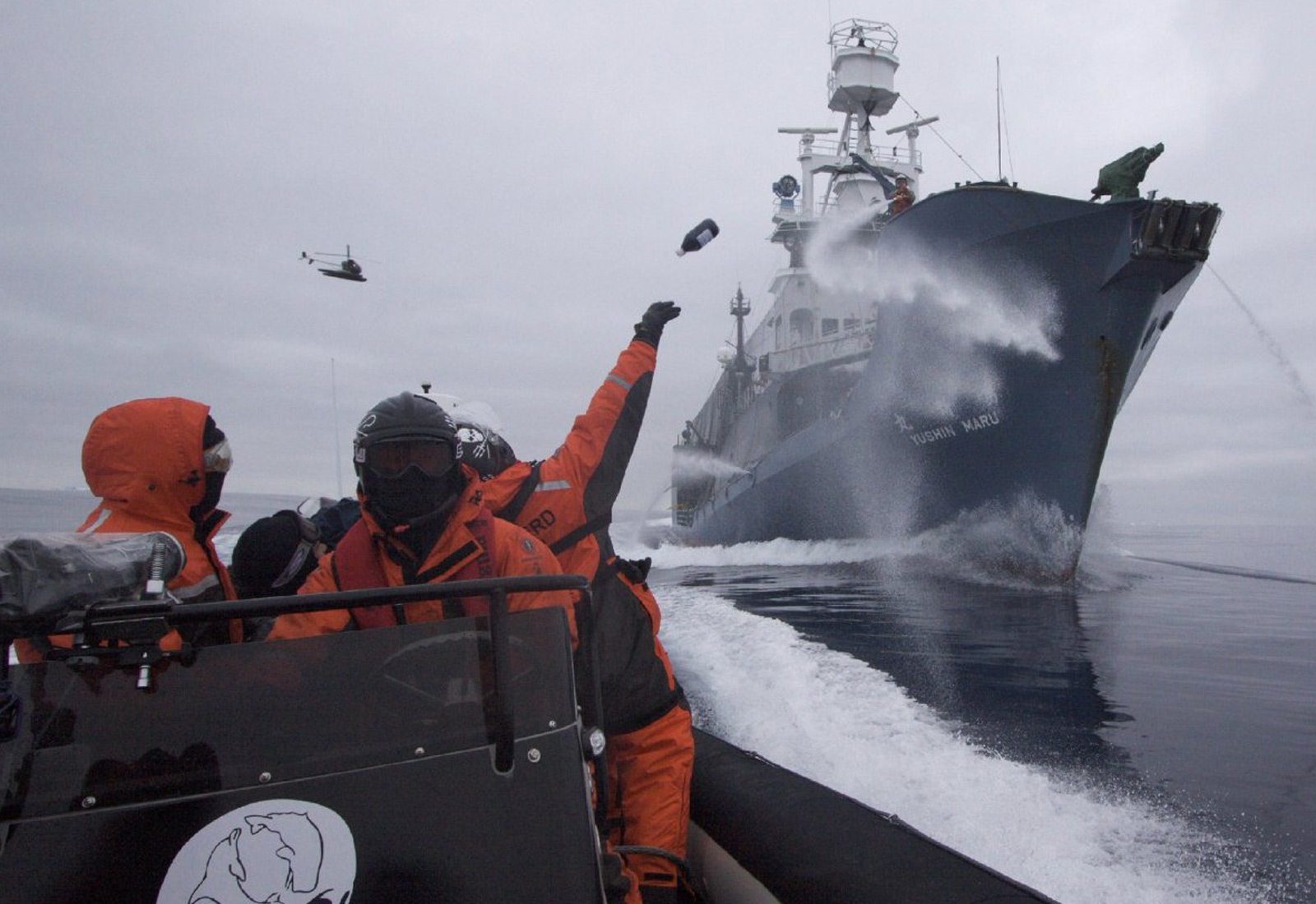 Watch Whale Wars Season 5 Prime Video