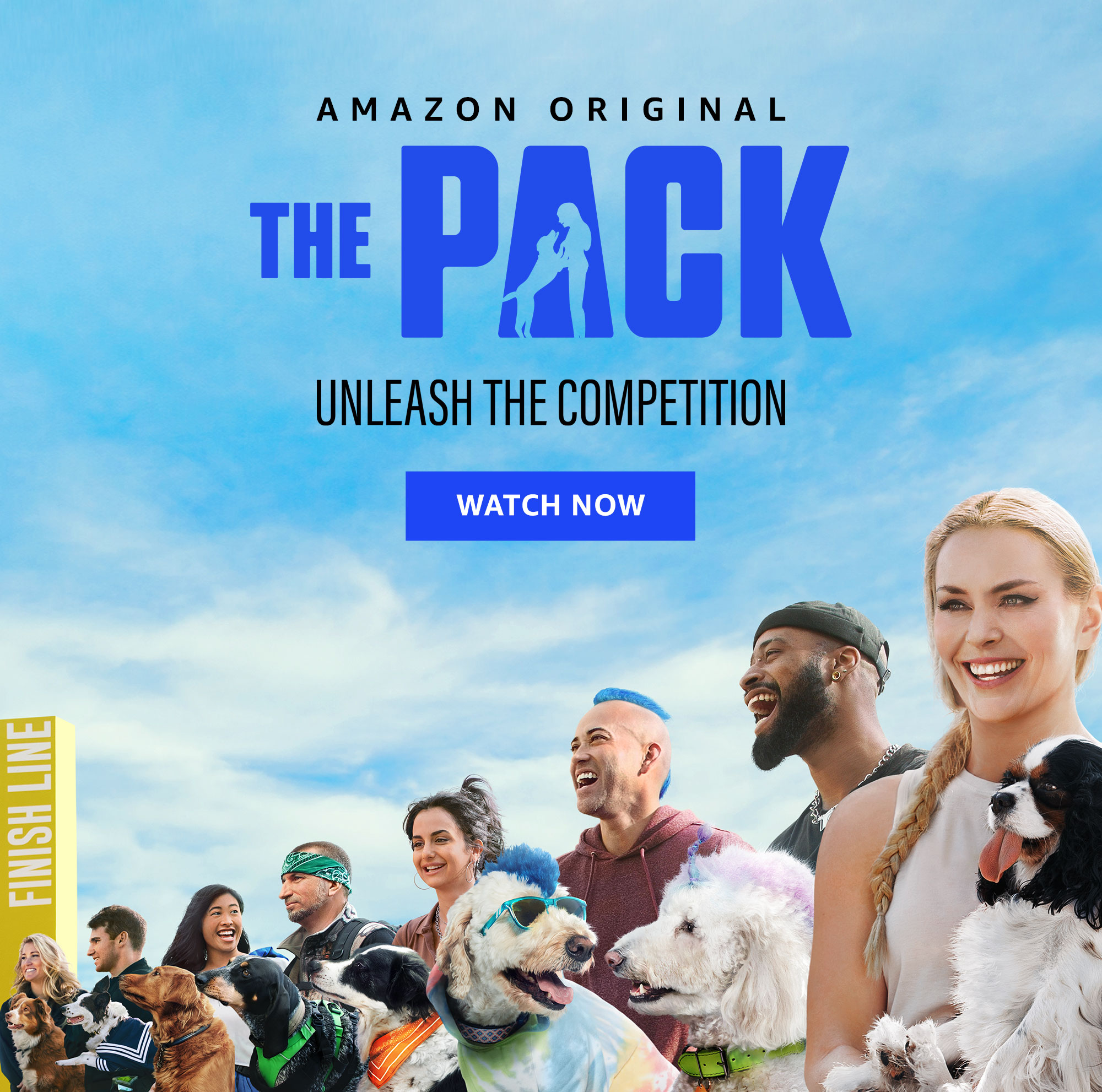 dogs accessories amazon