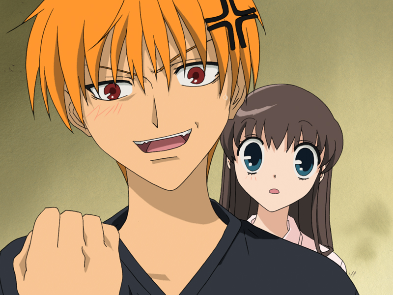 Fruits Basket Box Set (Viridian Collection) Movies & TV