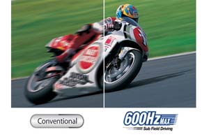 CAPTURE EVERY MOMENT