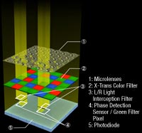 Large 2/3-inch X-Trans CMOS II Sensor