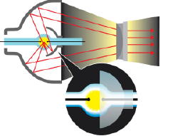 ETORL Image