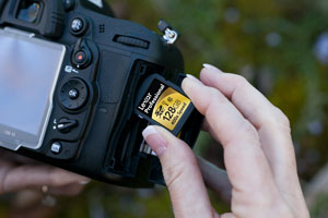 400x in Nikon