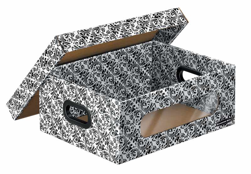 Bankers Box Home Organization, Small Storage Box, 4 Pack (4663501) Storage File