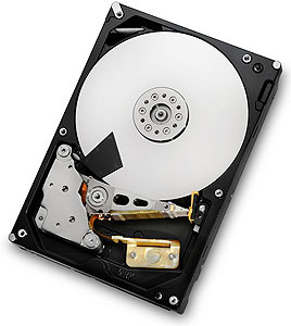 HGST Ultrastar 7K3000 3.5-Inch Enterprise Hard Drive
