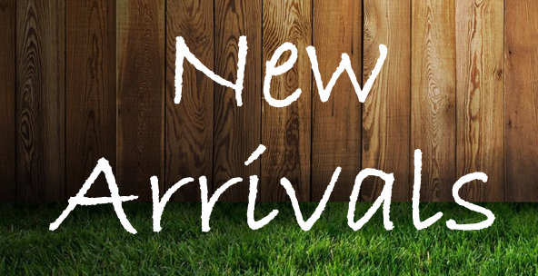 New Arrivals