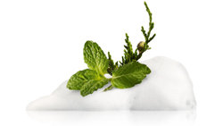 Sulfate-Free Hair Care