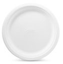Classic White Dinner Plate