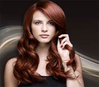 Remington Keratin Therapy Dryer