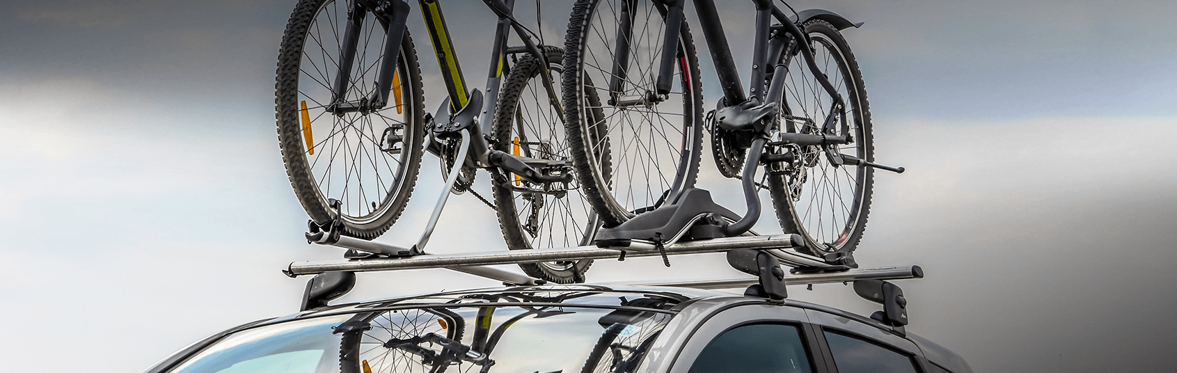 Bike Transportation & Storage