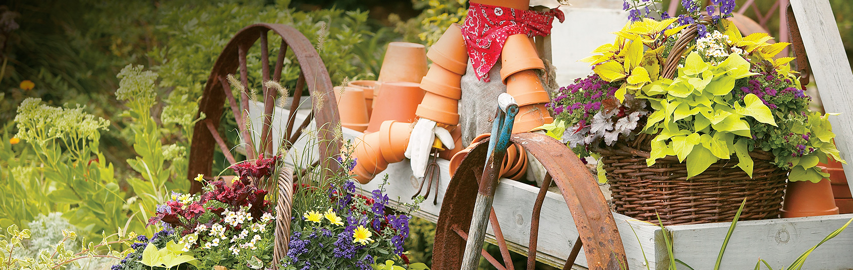 Plants, Seeds & Bulbs