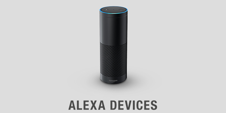 Solutions that work with Alexa