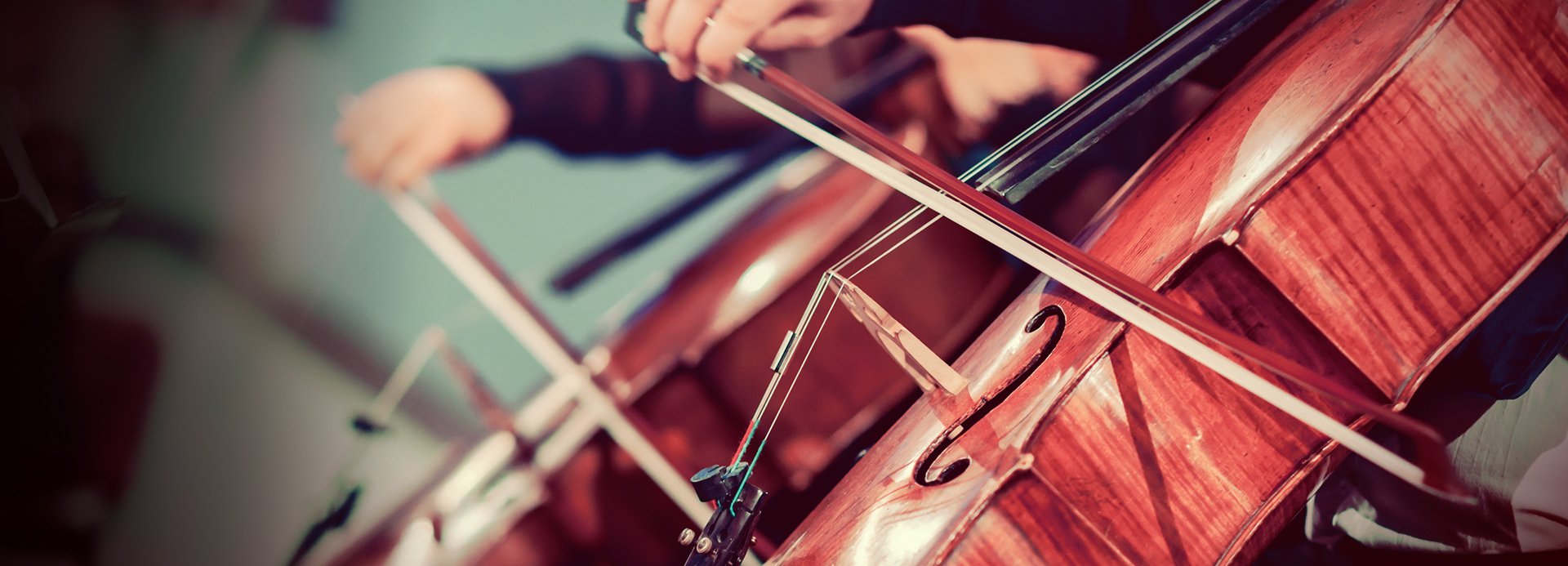 Shop Band & Orchestra