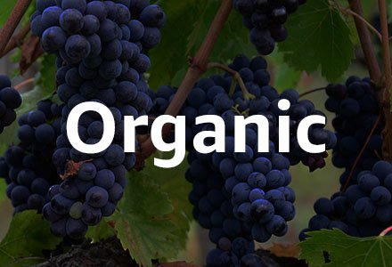 Organic Wine