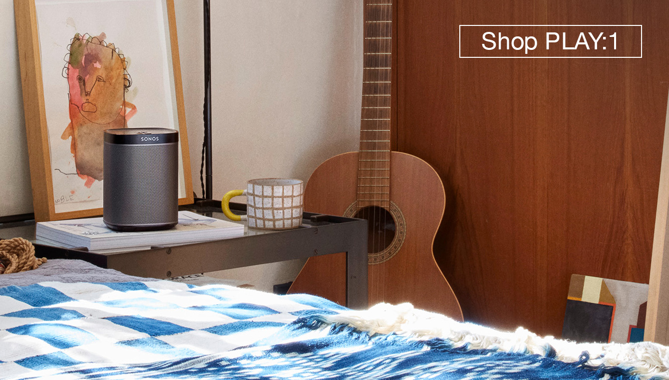 Sonos PLAY:1