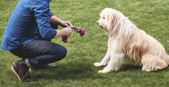 Fathers Day Gift Guide