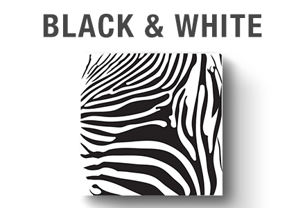 Shop Amazon.com | Wall Art