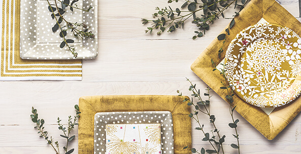 THE EVENT & PARTY STORE