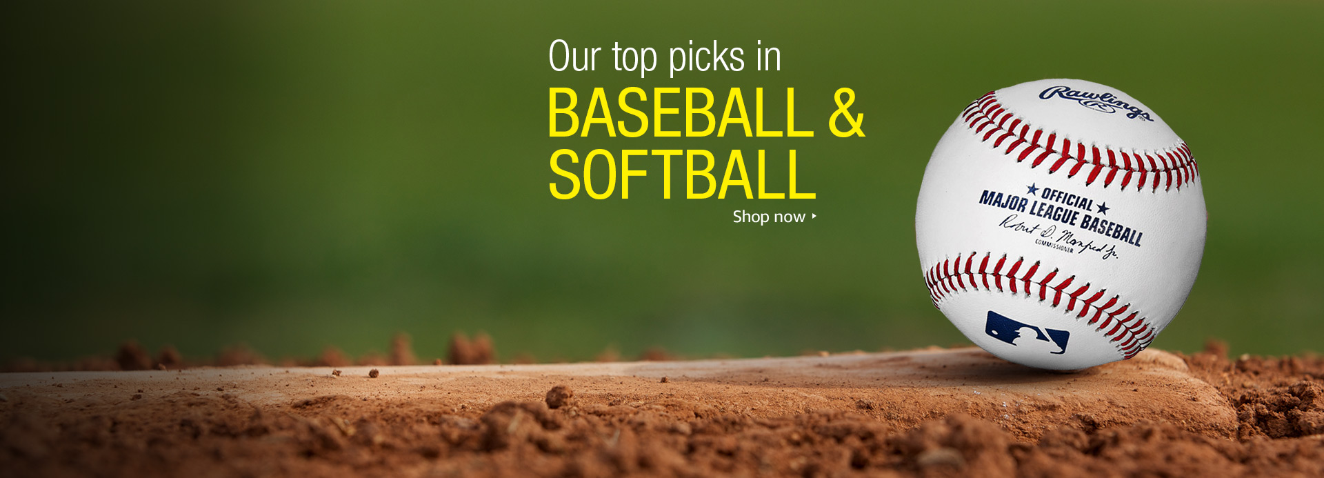 Baseball Bats, Mitts & Baseballs