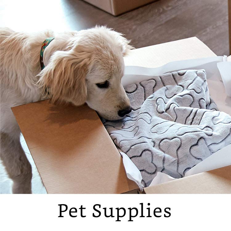 Pet Supplies