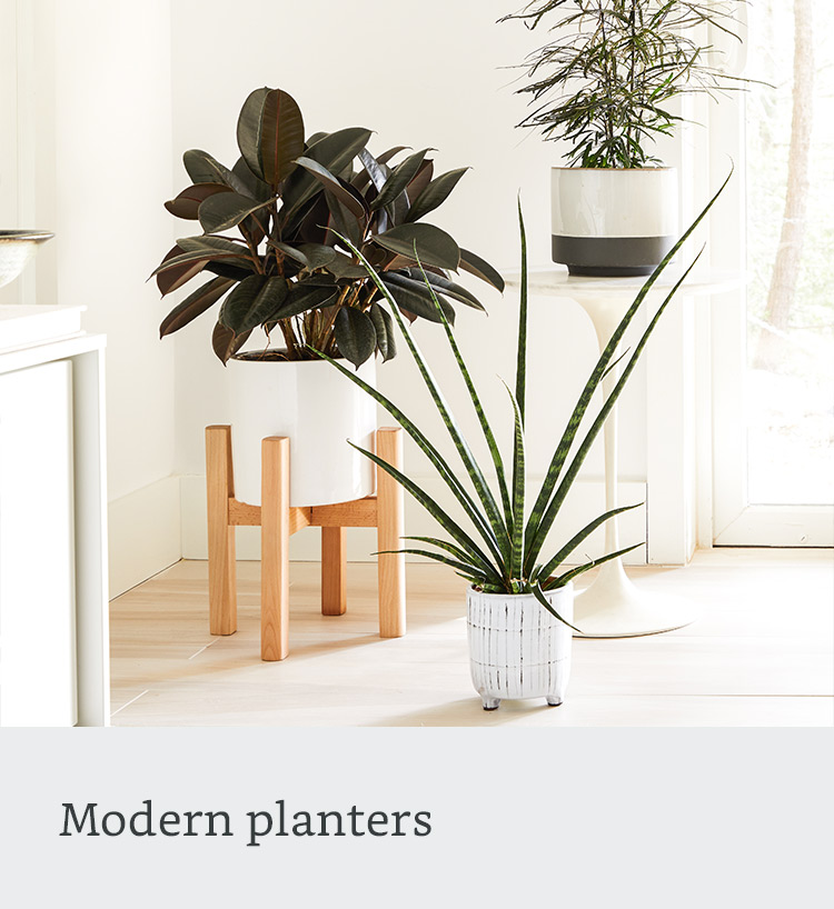 Modern planters