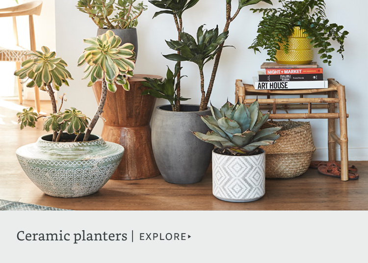 Ceramic planters