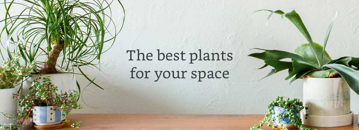 Wallpaper Home Decor Products Amazon Com Desktop Wallpaper Free