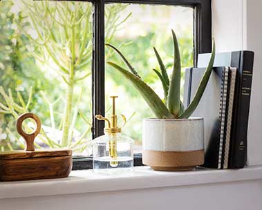 Just add water. Shop plants & planters