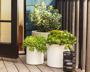 Flex your green thumb. Shop outdoor gardening