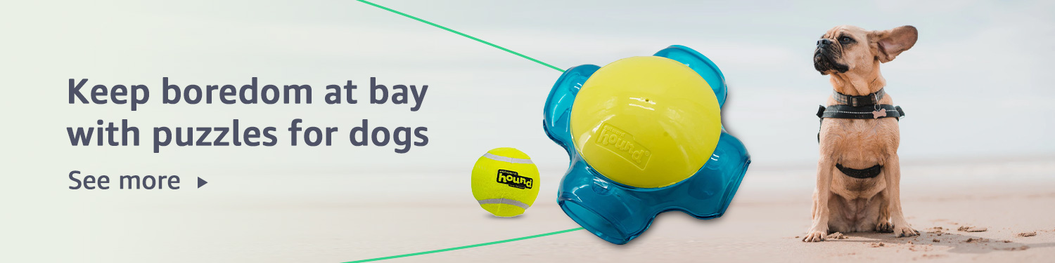 Keep boredom at bay with puzzles for dogs