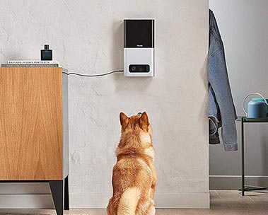 The latest tech for your pet