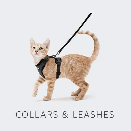 cat accessories amazon