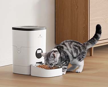 Deals on pet essentials. See more offers in pets.